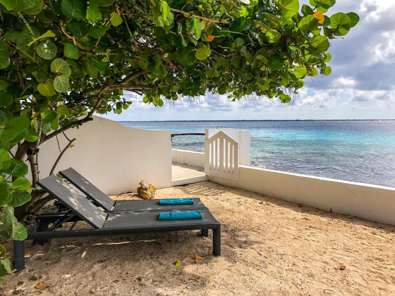 One Ocean Boutique Apartments & Suites Bonaire คราเลนไดค์ ภายนอก รูปภาพ